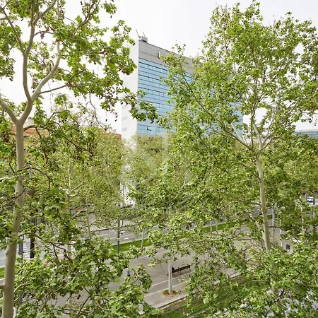 Cómodo En Diagonal Barcelona